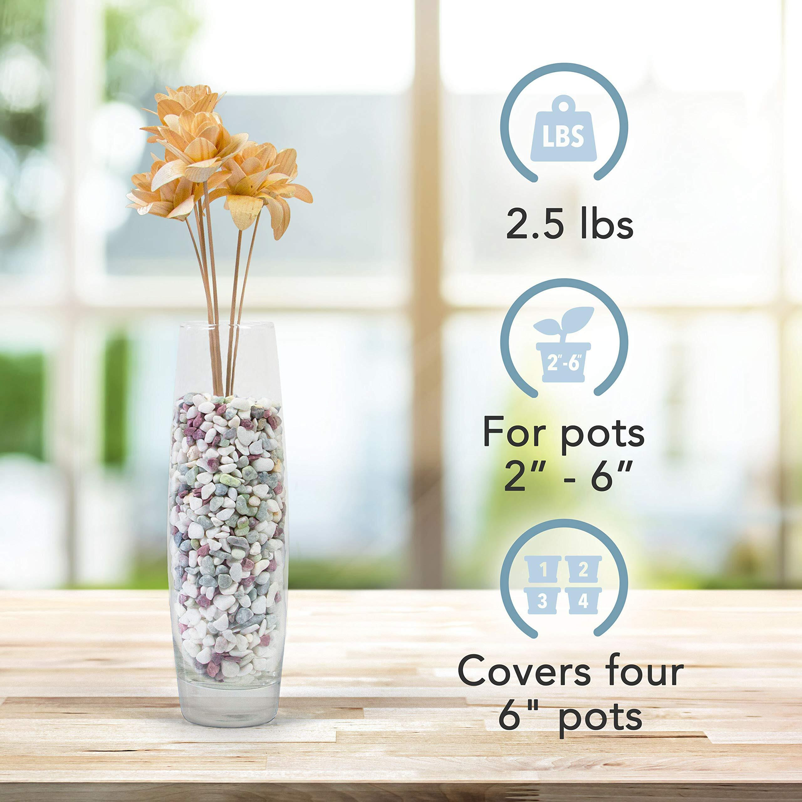 Decorative Pebbles For Plants And Vases - White Rocks With Red, Green, And Blue Pastel Accents - 2.5 Lbs Natural Stone Top Dressing For Potted Plants And Succulents - 1/5" To 3/8" Size (5-10 Mm)