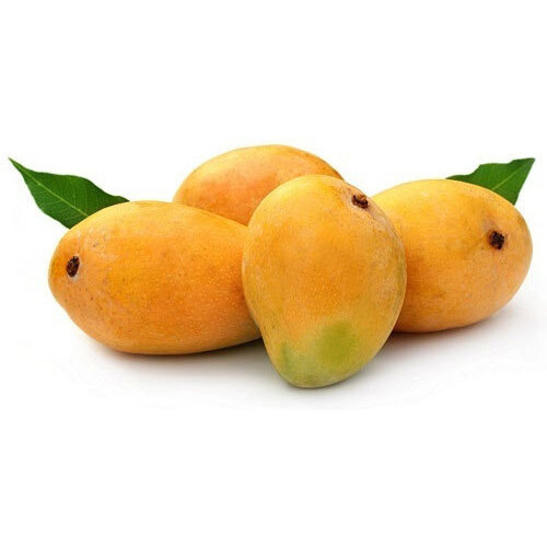 Fresh Indian Alphonso Mangoes Combo of 10-12
