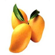 Fresh Indian Kesar Mangoes Combo of 10-12