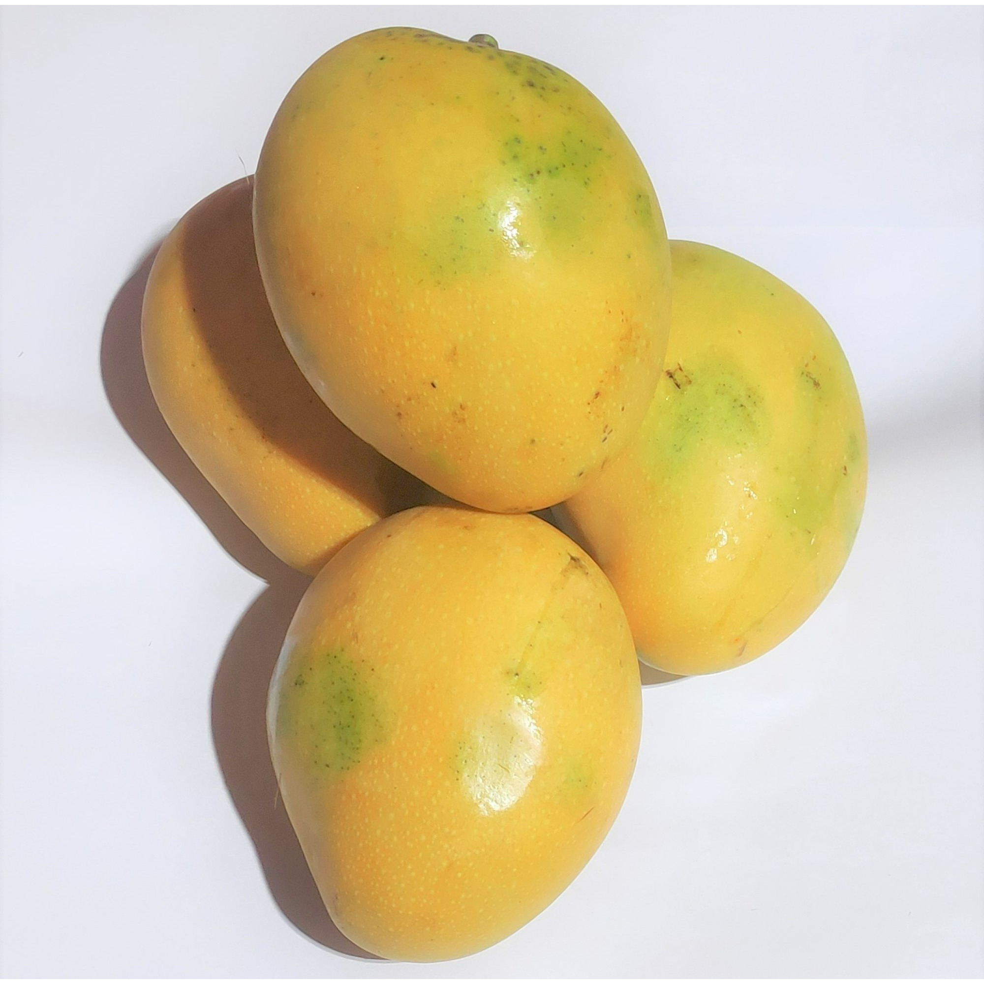 Fresh Indian Banganpalli Mangoes Combo of 8-9