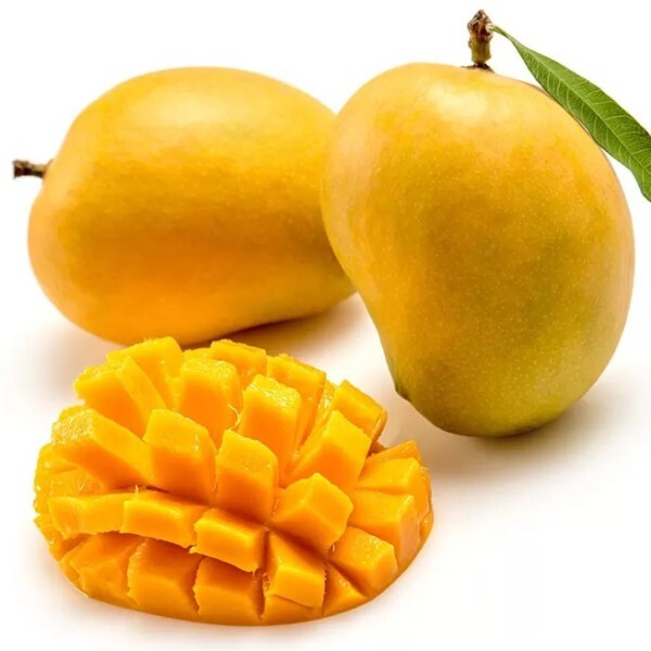 Fresh Indian Alphonso Mangoes Combo of 10-12