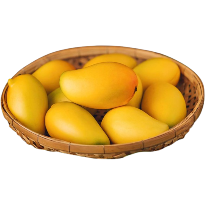 Fresh Indian Alphonso Mangoes Combo of 10-12
