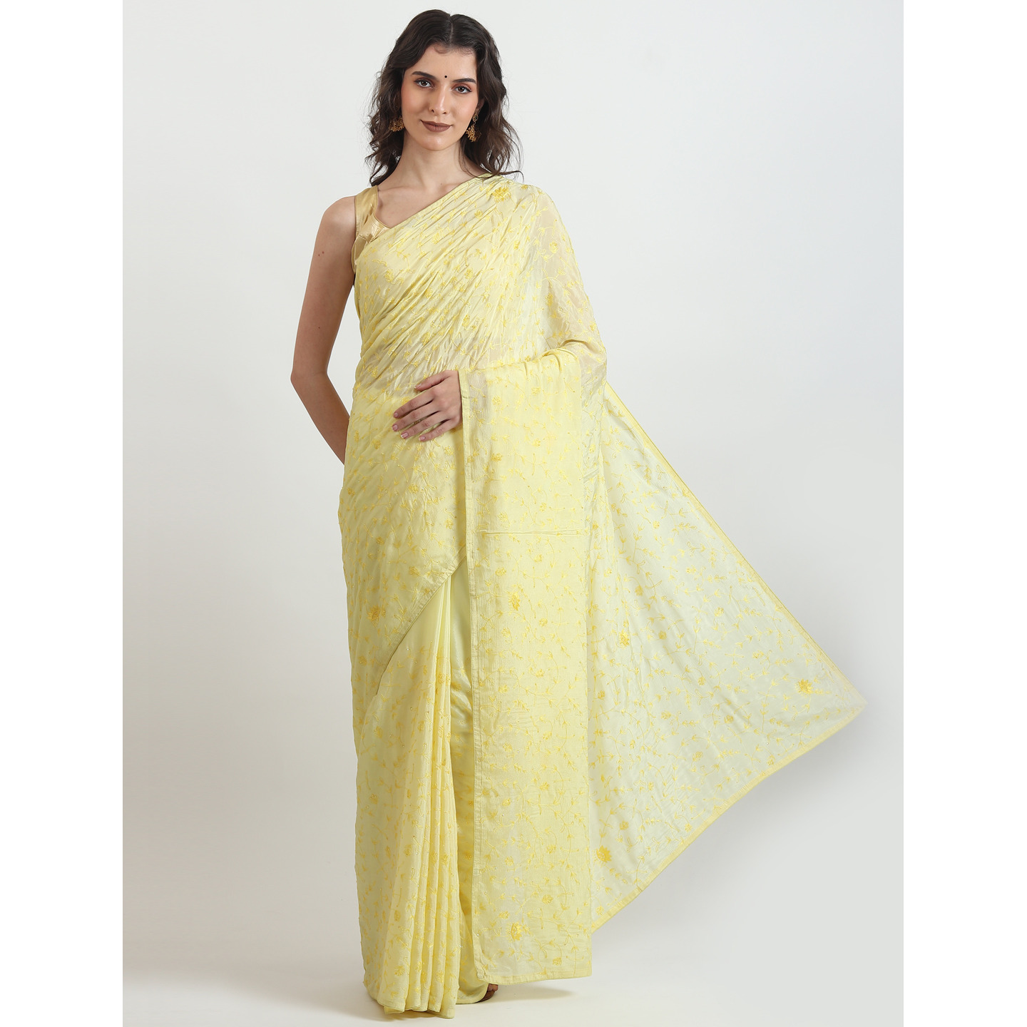 The Weavers Shop By raavi Pure Chiffon Thread Jaal Hand Embroidery Saree