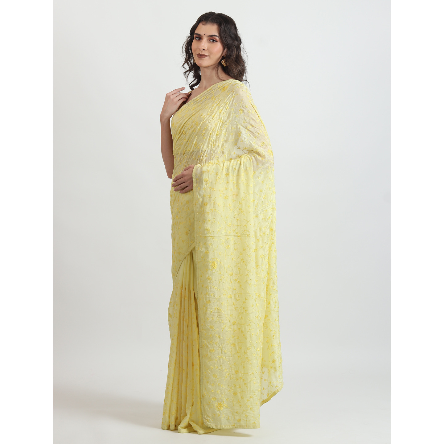 The Weavers Shop By raavi Pure Chiffon Thread Jaal Hand Embroidery Saree