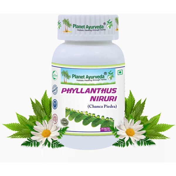 Planet Ayurveda Phyllanthus Niruri - Herbal Remedy For Good Liver Health. It Is Known As Chanca Piedra Or 'stone Breaker' - 60 Capsules