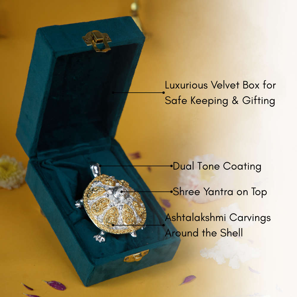Vastu Turtle with Silver & Gold Plating  Decorative Showpiece with Velvet Box for Home & Office