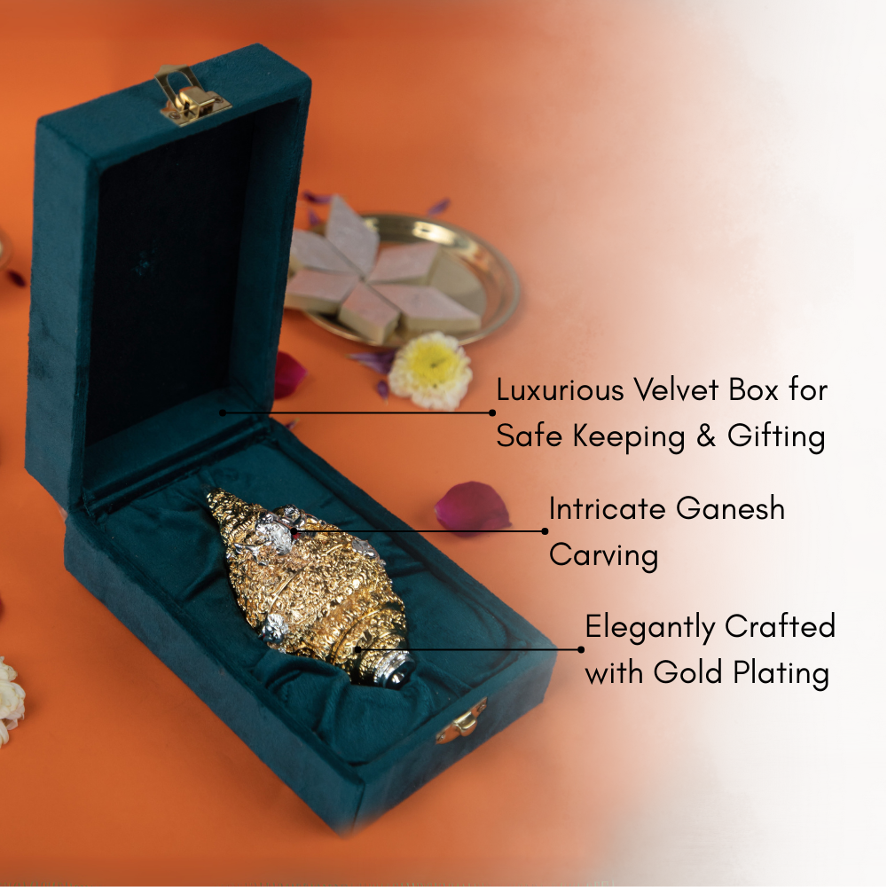 Golden Shankh with Velvet Box  Auspicious Conch Shell for Pooja, Vastu & Diwali Gifting