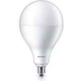 philips long life 40w bulb 1EACH