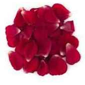 Radhav Rose Petal 50GM