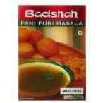 BADSHAH PANI PURI MASAL_100_GM