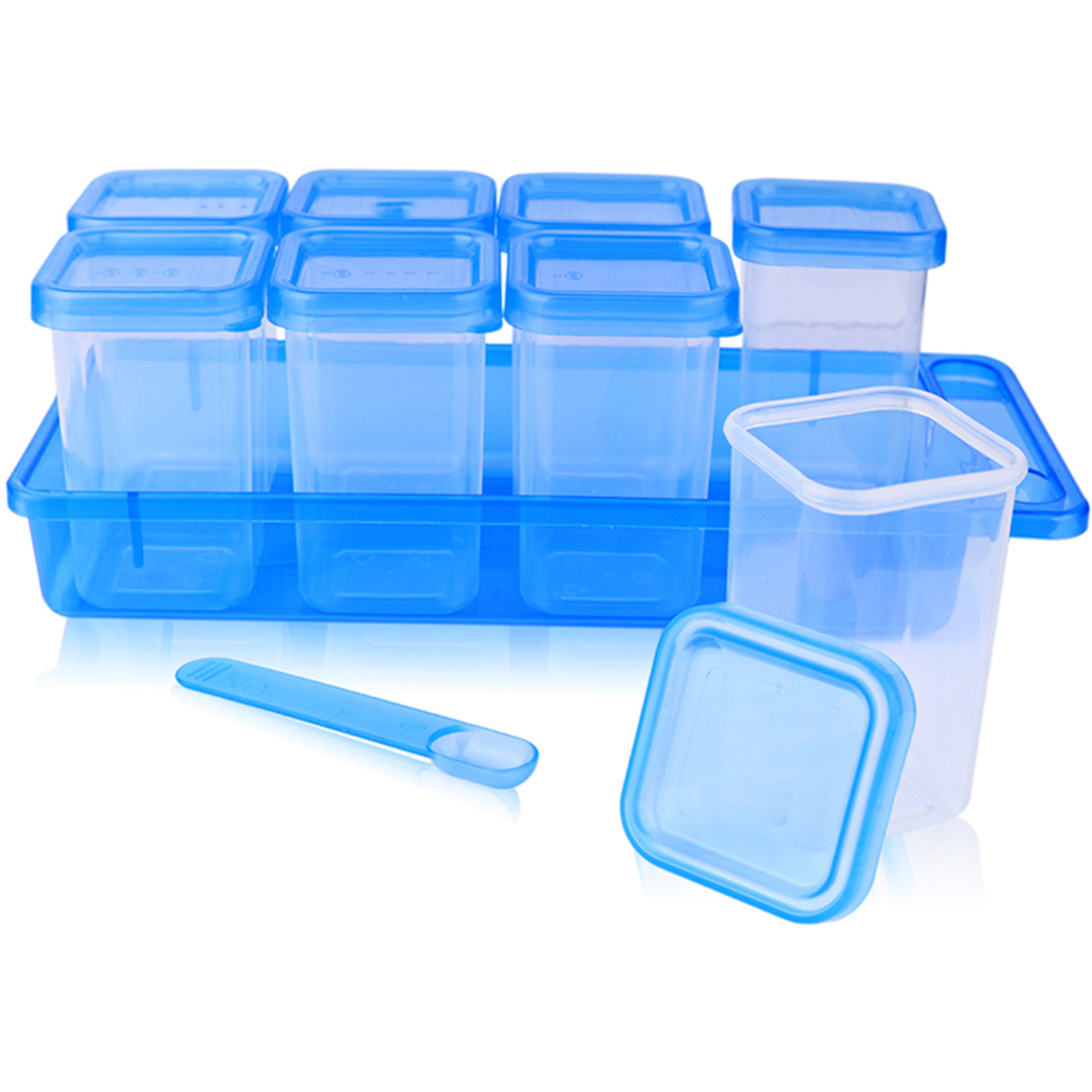 Malsala Container 100% Food Grade Plastic Set with Organizer Tray & Spoons (Blue)