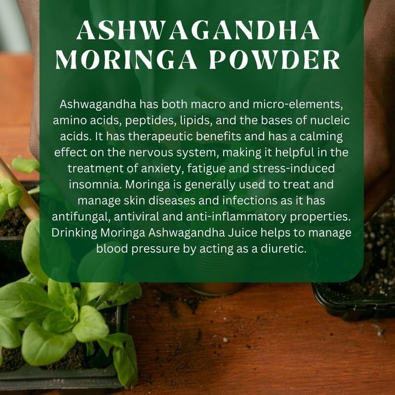 ZAYNURA AYURVEDA| Ashwagandha Moringa Powder | Stress Relief & Energy Booster | Superfood Blend for Immunity, Detox & Skin Health | Rich in Antioxidants | 100% Natural, Vegan & Non-GMO | 200g Pouch