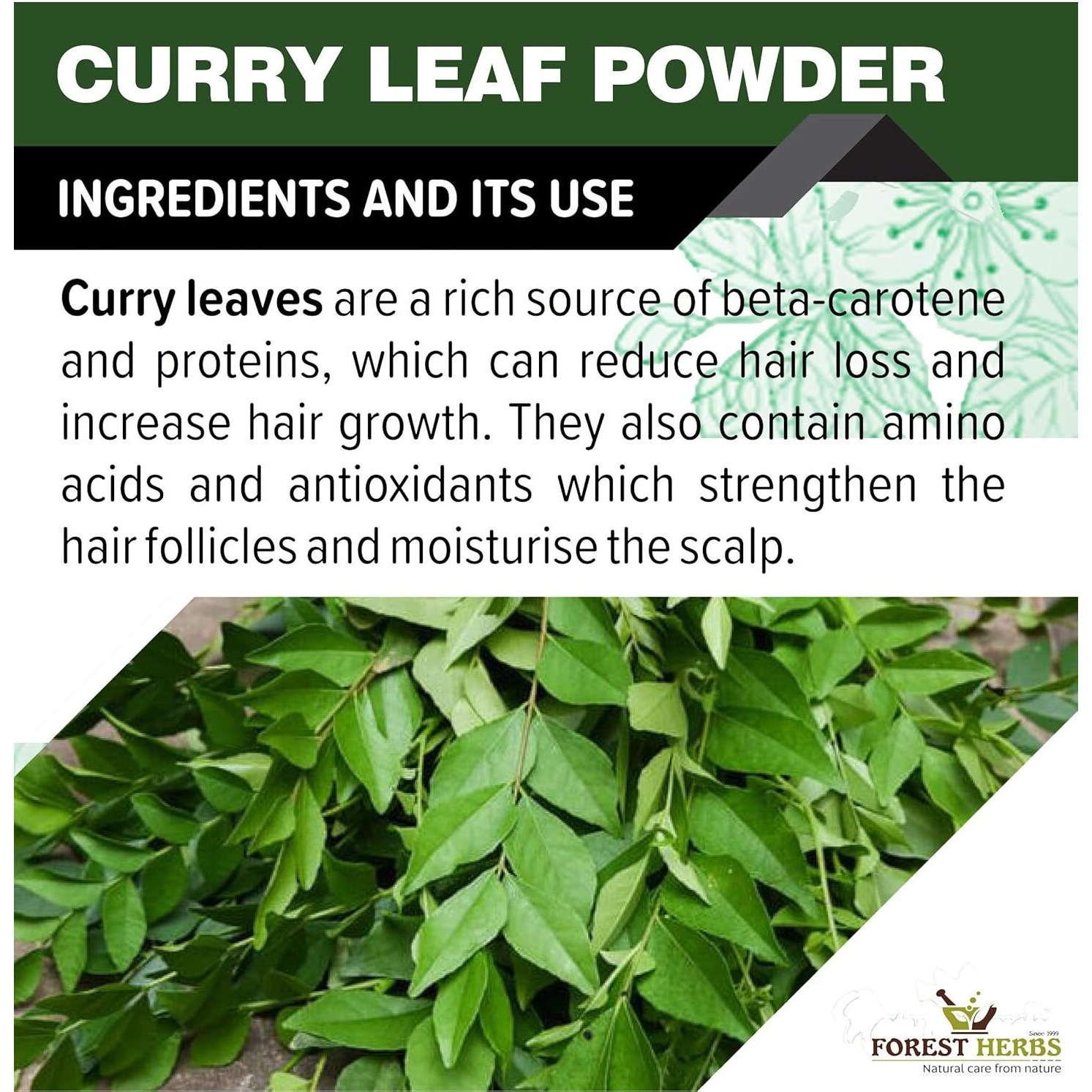 The Forest Herbs Natural Care From Nature 100% Curry Leaves Powder 200Gms (Sun Dried & Stemless) for Strong and Shiny Hair Growth