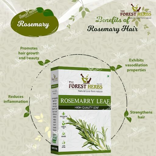 The Forest Herbs Natural Care From Nature Rosemary leaves for Hair growth 100 grams | 100% Natural, Preservative free | Dried rosemary leaves | Suitable for Rosemary water and Rosemarry oil preparation