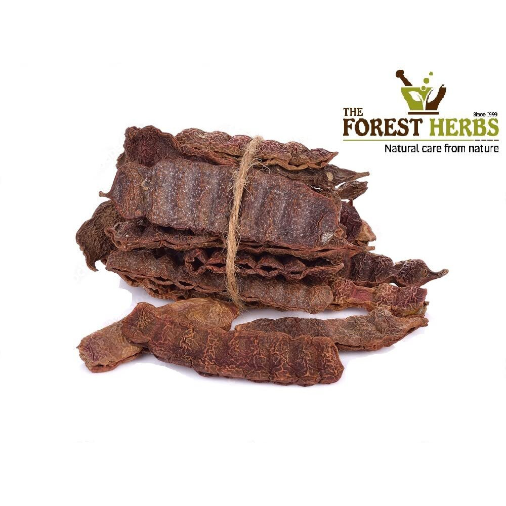 The Forest Herbs Natural Care From Nature Organic Whole Dried Sabut Shikakai, Acacia Concinna RAW Form (500GMS)