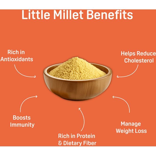 Little Millet Hakka Noodles Combo