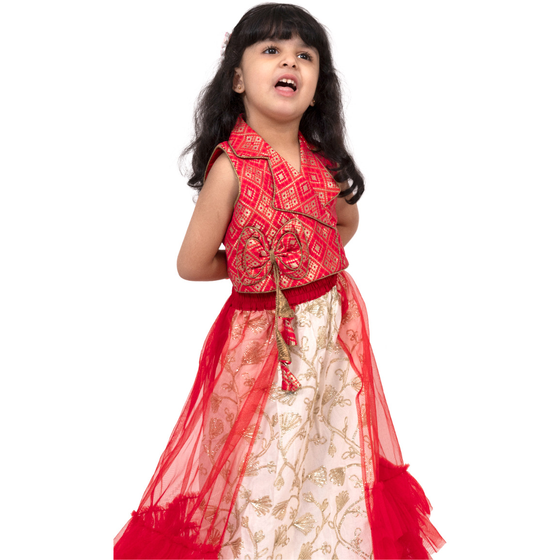 Elaisha Brocade Sleeveless Embellished Top with Lehenga - Red & White