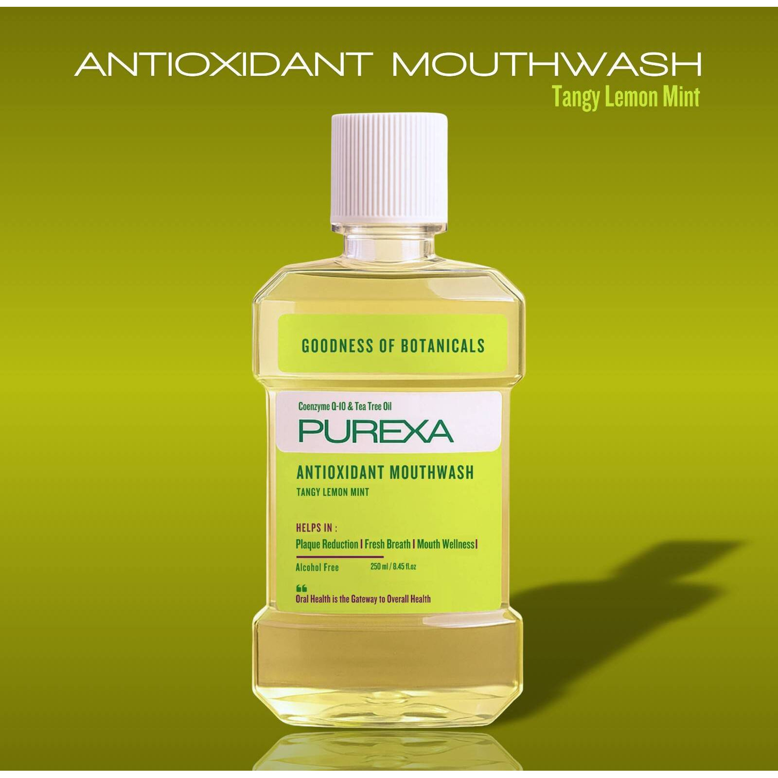 PUREXA Fennel Mint & Lemon Mint Antioxidant Mouthwash Combo 250ml Each | Alcohol Free Oral Rinse with Tea Tree Oil, Aloe Vera & Spearmint Oil | Fresh Breath & Plaque Care