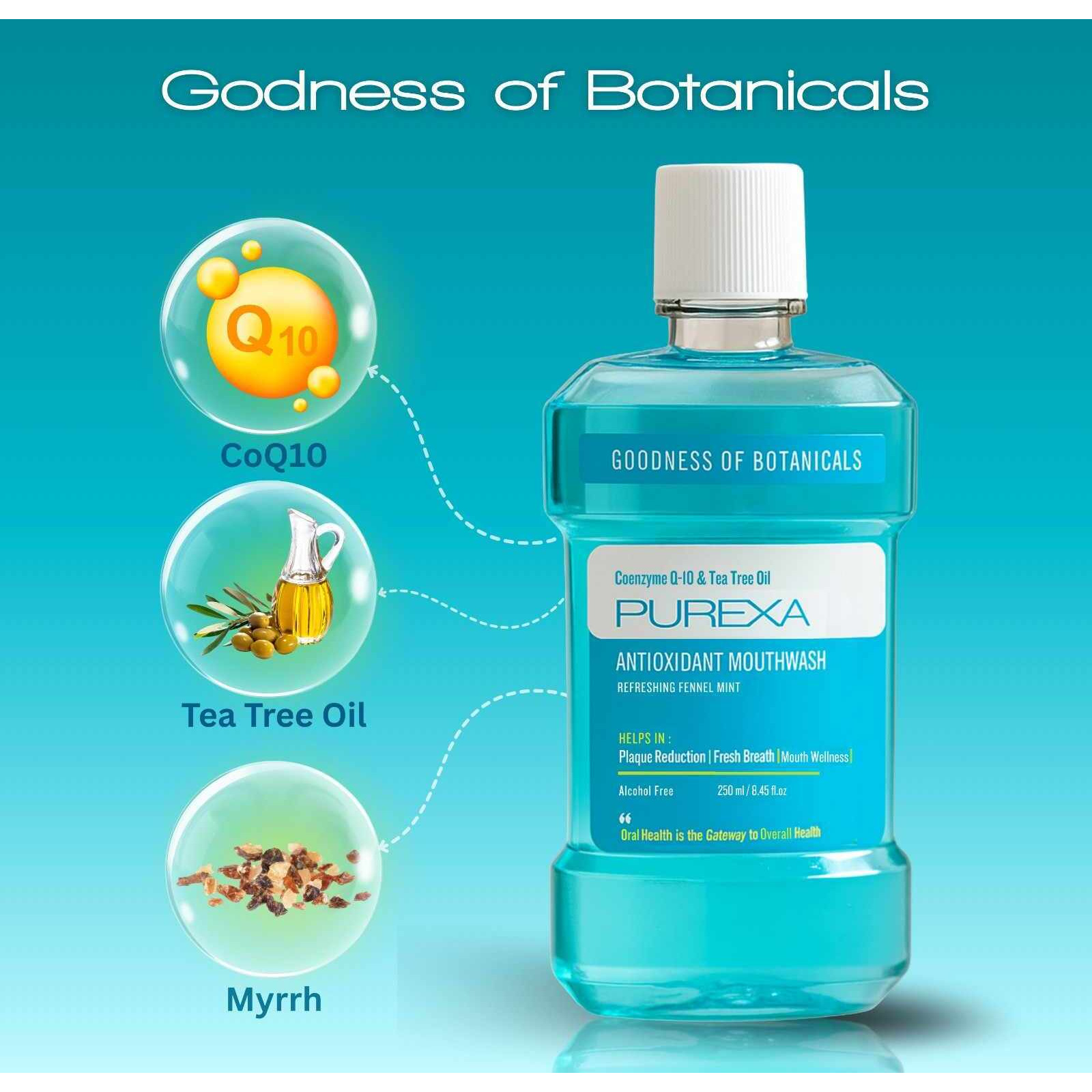 PUREXA Fennel Mint & Lemon Mint Antioxidant Mouthwash Combo 250ml Each | Alcohol Free Oral Rinse with Tea Tree Oil, Aloe Vera & Spearmint Oil | Fresh Breath & Plaque Care