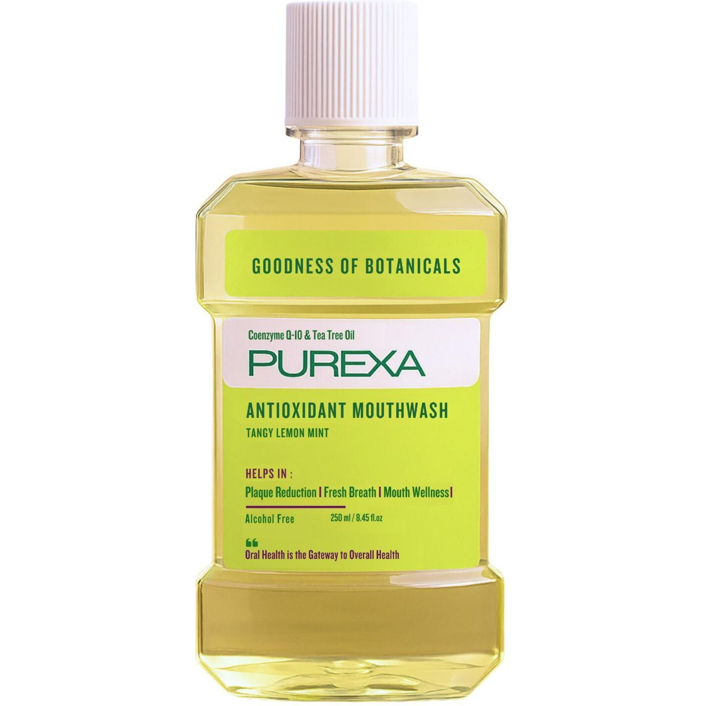 PUREXA Lemon Mint & Watermelon Mint Antioxidant Mouthwash Combo 250ml Each | Alcohol Free Oral Rinse with Aloe Vera, Tea Tree Oil & Peppermint Oil | Fresh Breath & Plaque Care