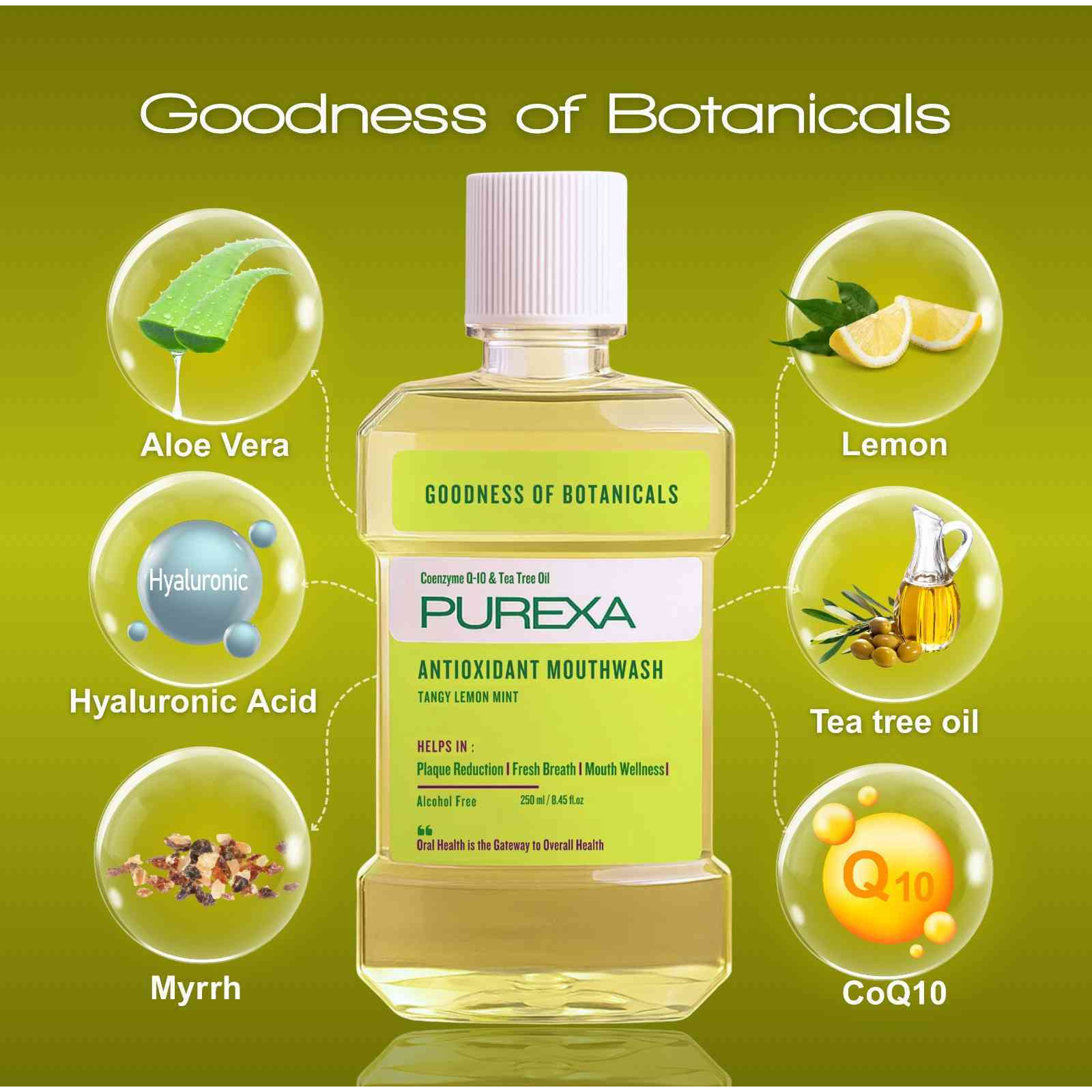 PUREXA Lemon Mint & Watermelon Mint Antioxidant Mouthwash Combo 250ml Each | Alcohol Free Oral Rinse with Aloe Vera, Tea Tree Oil & Peppermint Oil | Fresh Breath & Plaque Care