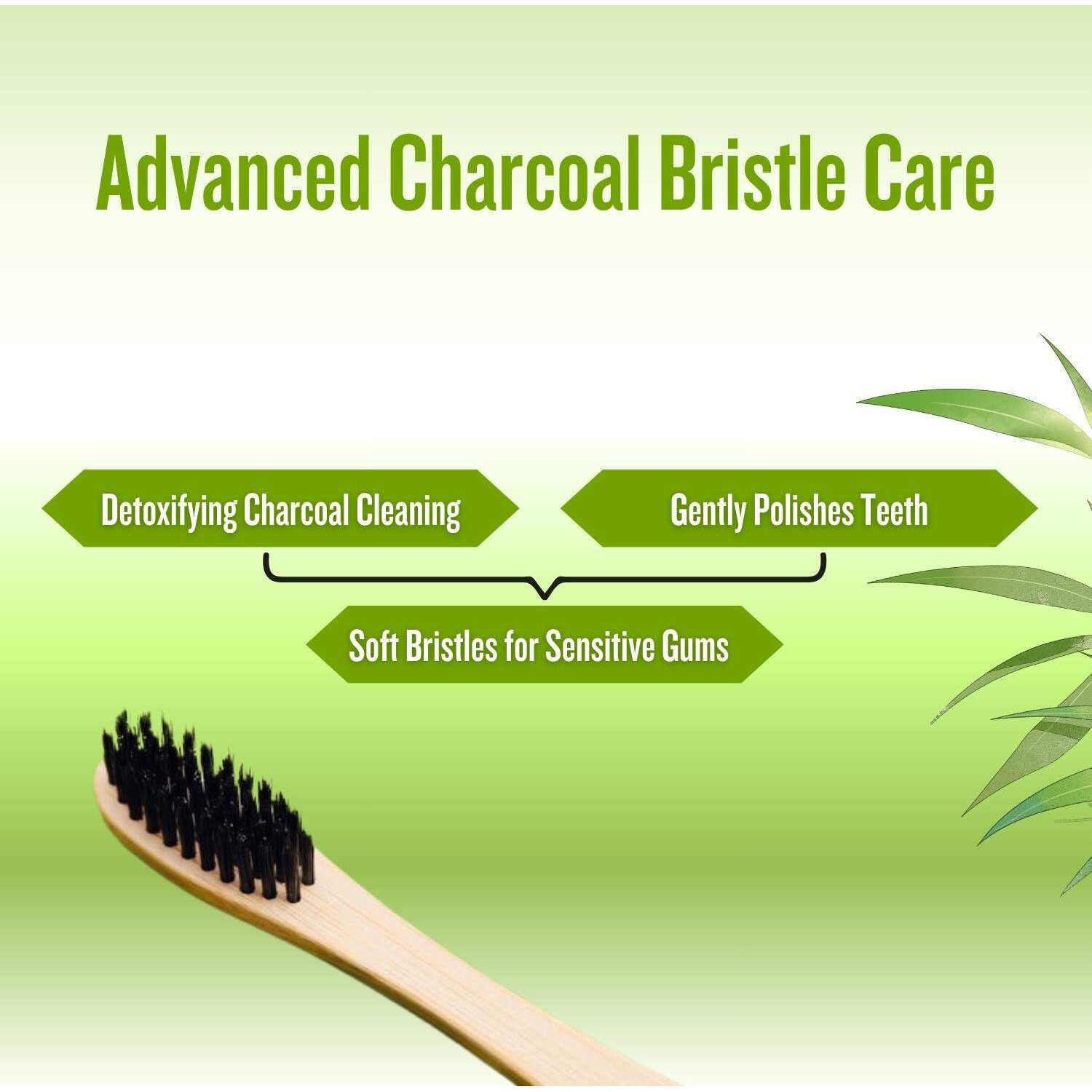 PUREXA Bamboo Toothbrush Pack of 8 | Activated Charcoal BPA Free Soft Bristles | Eco-Friendly Biodegradable Bamboo Handle for Daily Oral Care