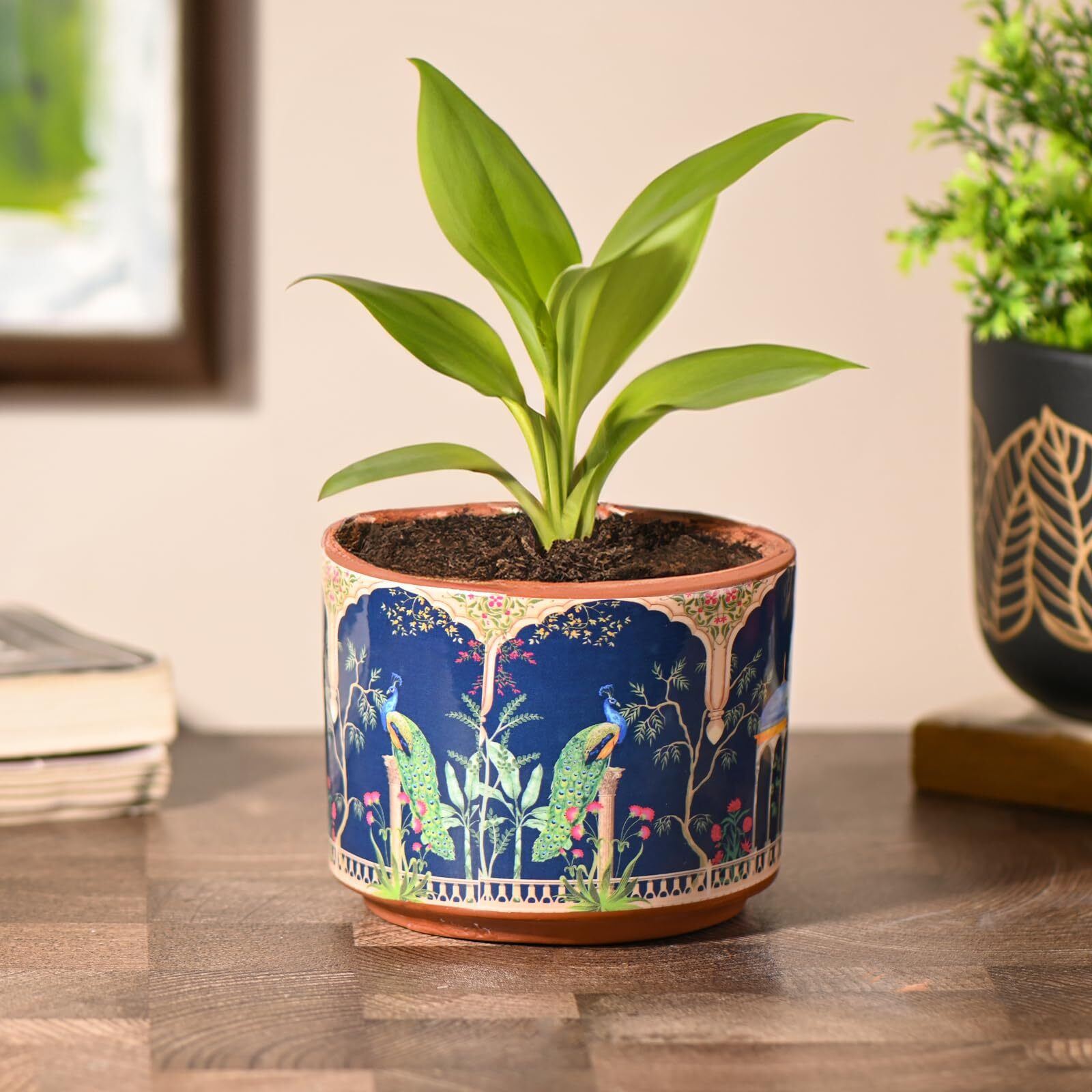 Gathari Terracotta Table Planters for Living Room Indoor Pot for Plant - Planters Pot for Home Decoration Plant Pot for Indoor Plants Pots for Plants (Plant Not Included) (Peacock)