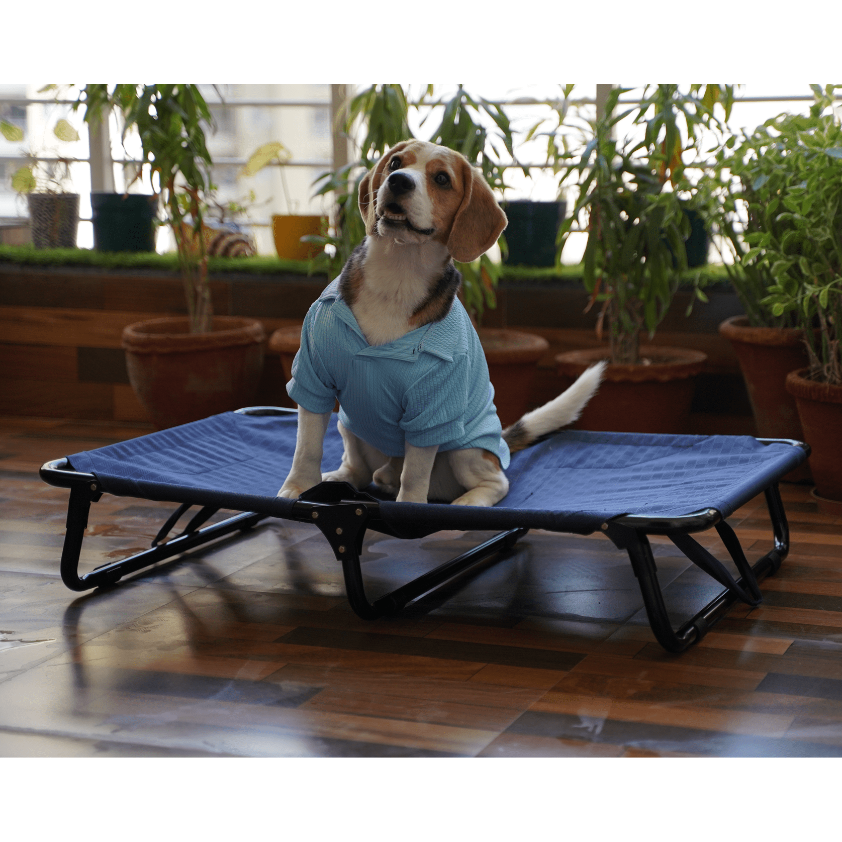 Heavy-Duty Elevated Dog Cot | Reinforced Metal Frame | Waterproof & Tear-Resistant 1000D Oxford Fabric | Foldable, No Assembly | 36&quot  24&quot with 6&quot Height | Supports 50 kg (110 lbs)
