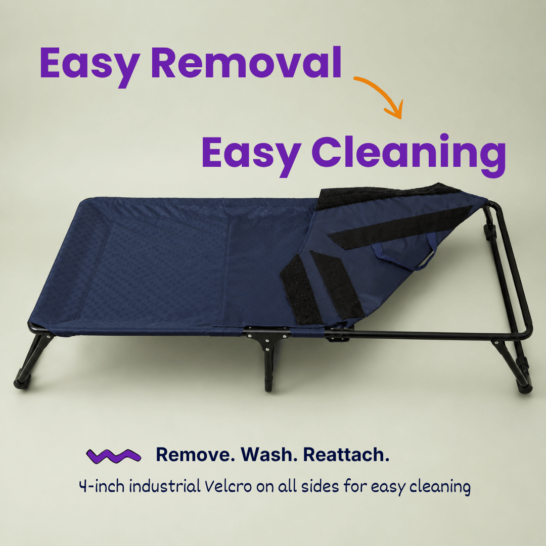 Heavy-Duty Elevated Dog Cot | Reinforced Metal Frame | Waterproof & Tear-Resistant 1000D Oxford Fabric | Foldable, No Assembly | 36&quot  24&quot with 6&quot Height | Supports 50 kg (110 lbs)