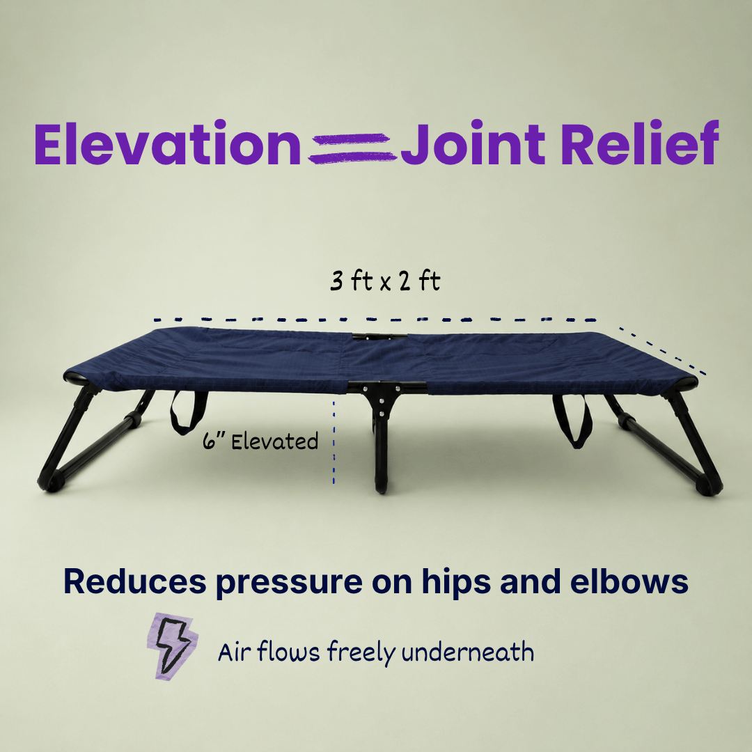 Heavy-Duty Elevated Dog Cot | Reinforced Metal Frame | Waterproof & Tear-Resistant 1000D Oxford Fabric | Foldable, No Assembly | 36&quot  24&quot with 6&quot Height | Supports 50 kg (110 lbs)