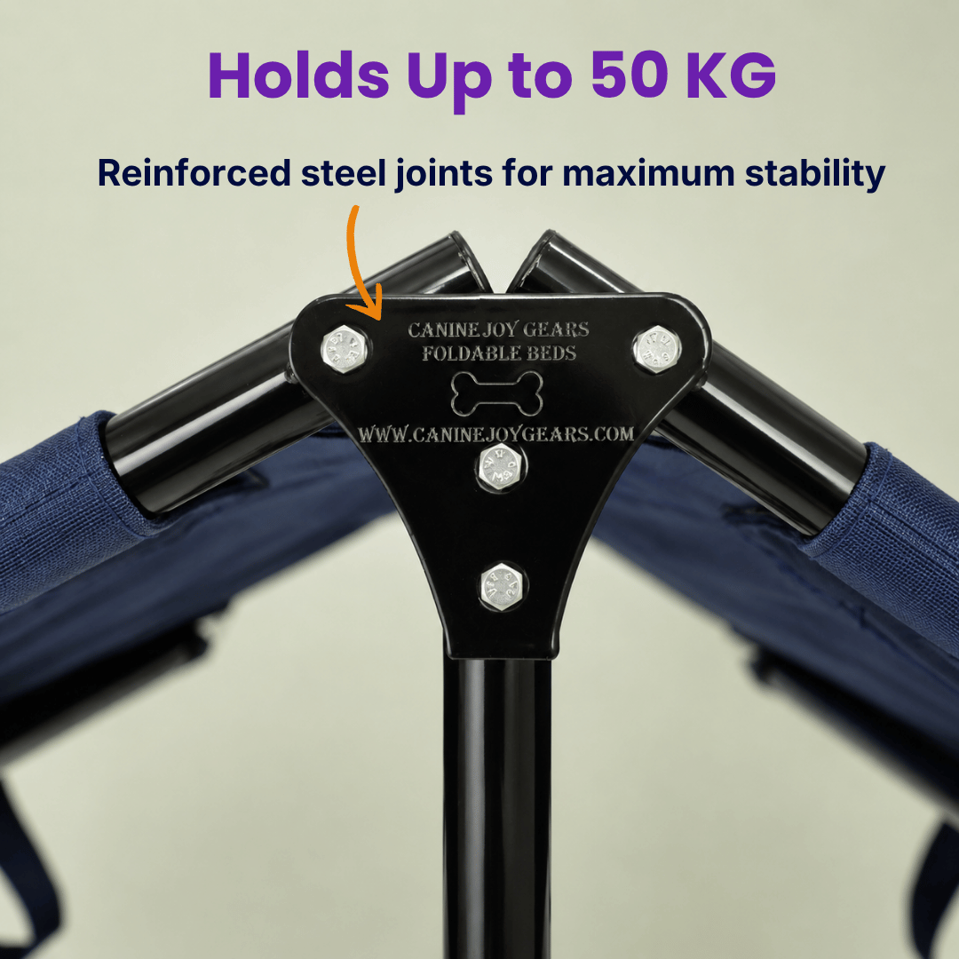Heavy-Duty Elevated Dog Cot | Reinforced Metal Frame | Waterproof & Tear-Resistant 1000D Oxford Fabric | Foldable, No Assembly | 36&quot  24&quot with 6&quot Height | Supports 50 kg (110 lbs)