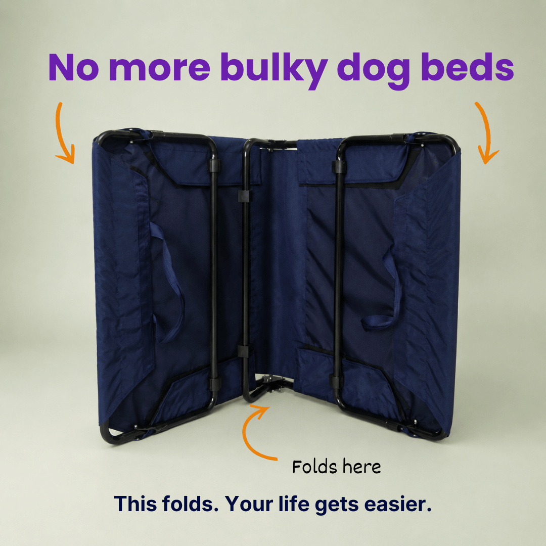 Heavy-Duty Elevated Dog Cot | Reinforced Metal Frame | Waterproof & Tear-Resistant 1000D Oxford Fabric | Foldable, No Assembly | 36&quot  24&quot with 6&quot Height | Supports 50 kg (110 lbs)