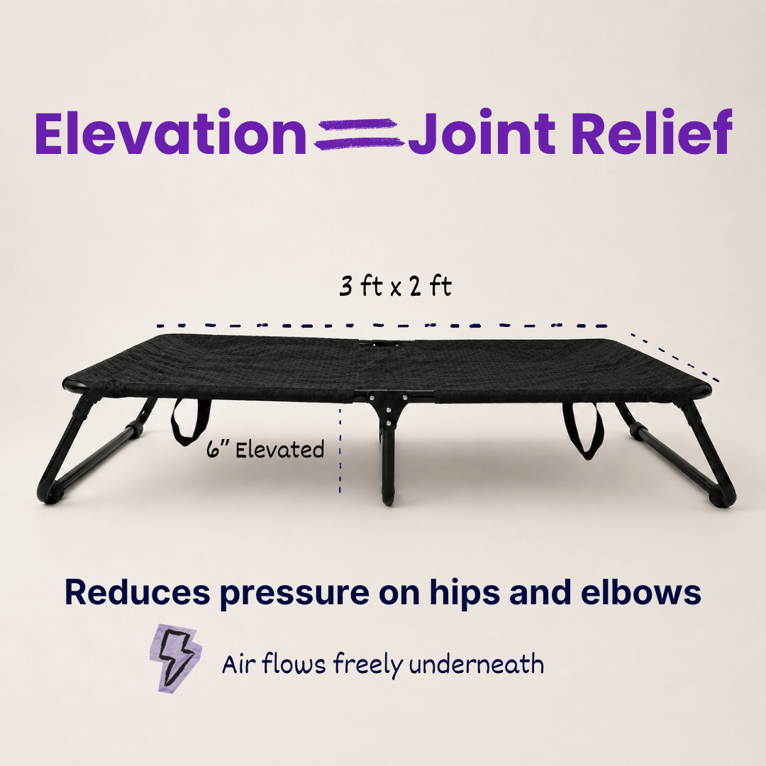 Heavy-Duty Elevated Dog Cot | Reinforced Metal Frame | Waterproof & Tear-Resistant 1000D Oxford Fabric | Foldable, No Assembly | 36&quot  24&quot with 6&quot Height | Supports 50 kg (110 lbs)