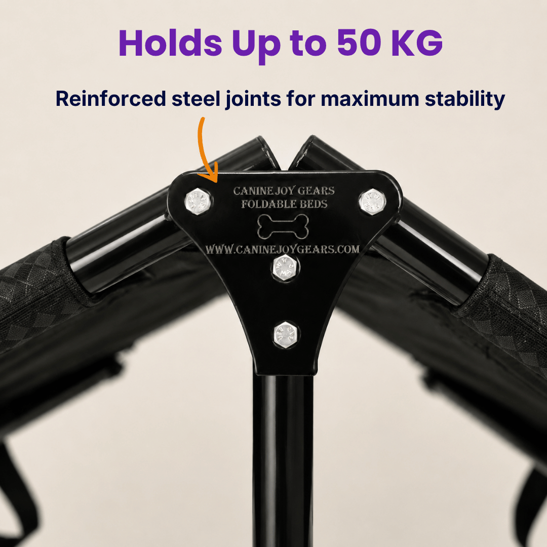 Heavy-Duty Elevated Dog Cot | Reinforced Metal Frame | Waterproof & Tear-Resistant 1000D Oxford Fabric | Foldable, No Assembly | 36&quot  24&quot with 6&quot Height | Supports 50 kg (110 lbs)