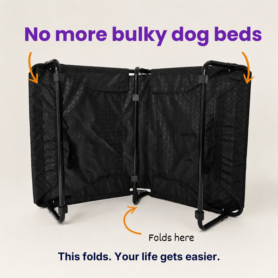 Heavy-Duty Elevated Dog Cot | Reinforced Metal Frame | Waterproof & Tear-Resistant 1000D Oxford Fabric | Foldable, No Assembly | 36&quot  24&quot with 6&quot Height | Supports 50 kg (110 lbs)