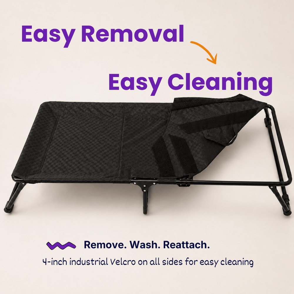 Heavy-Duty Elevated Dog Cot | Reinforced Metal Frame | Waterproof & Tear-Resistant 1000D Oxford Fabric | Foldable, No Assembly | 48&quot  30&quot with 9&quot Height | Supports 75 kg (165 lbs)
