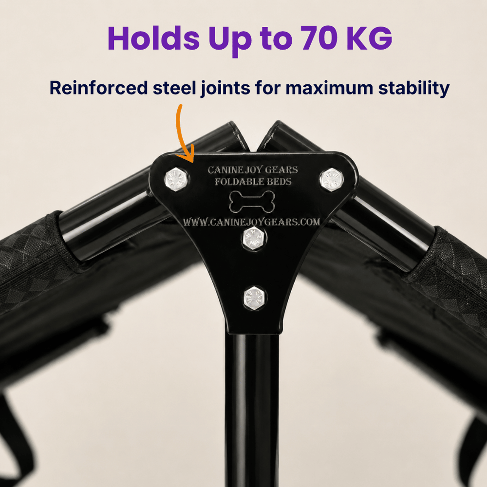 Heavy-Duty Elevated Dog Cot | Reinforced Metal Frame | Waterproof & Tear-Resistant 1000D Oxford Fabric | Foldable, No Assembly | 48&quot  30&quot with 9&quot Height | Supports 75 kg (165 lbs)