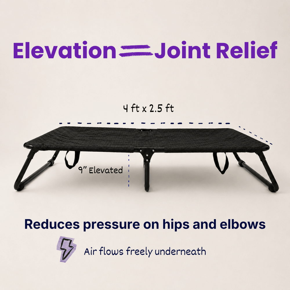 Heavy-Duty Elevated Dog Cot | Reinforced Metal Frame | Waterproof & Tear-Resistant 1000D Oxford Fabric | Foldable, No Assembly | 48&quot  30&quot with 9&quot Height | Supports 75 kg (165 lbs)