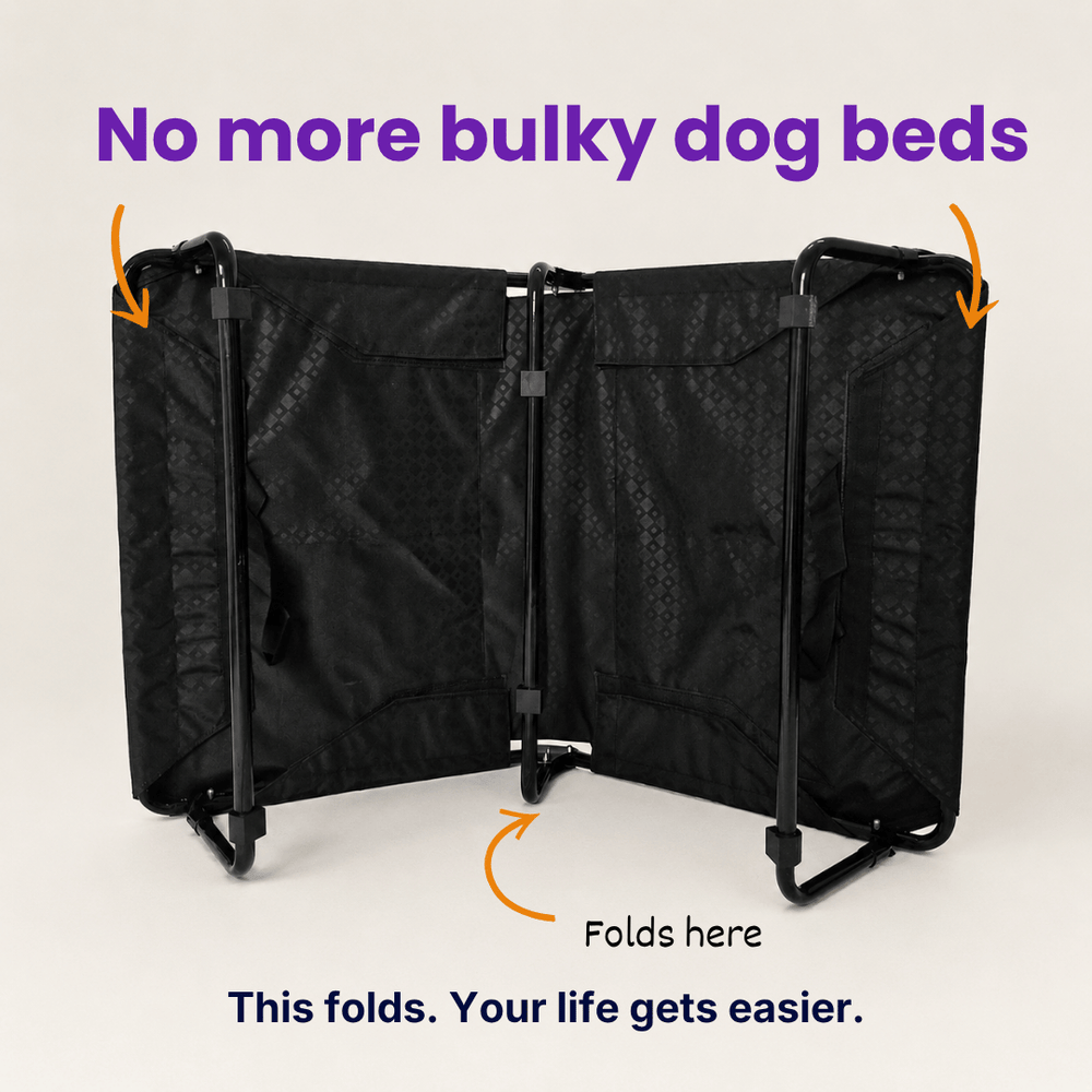 Heavy-Duty Elevated Dog Cot | Reinforced Metal Frame | Waterproof & Tear-Resistant 1000D Oxford Fabric | Foldable, No Assembly | 48&quot  30&quot with 9&quot Height | Supports 75 kg (165 lbs)