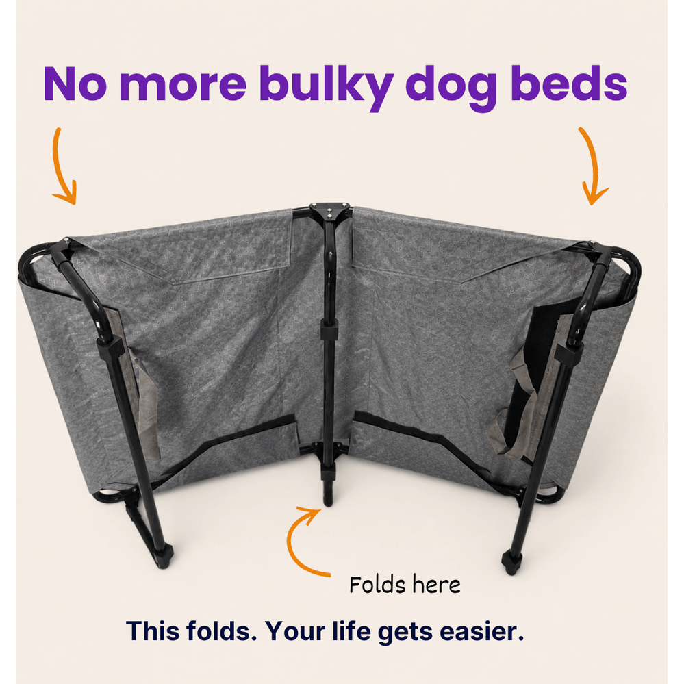 Heavy-Duty Elevated Dog Cot | Reinforced Metal Frame | Waterproof & Tear-Resistant 1000D Oxford Fabric | Foldable, No Assembly | 48&quot  30&quot with 9&quot Height | Supports 75 kg (165 lbs)