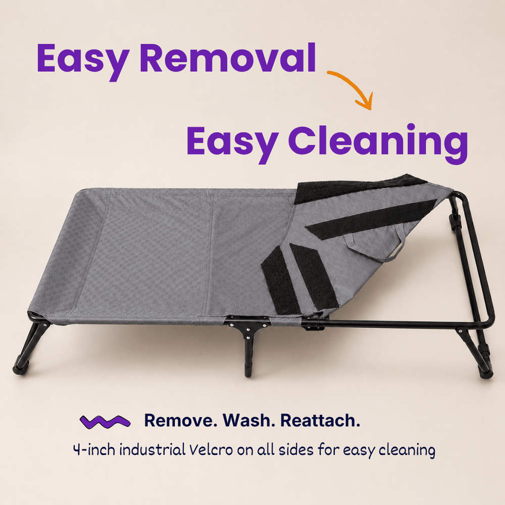 Heavy-Duty Elevated Dog Cot | Reinforced Metal Frame | Waterproof & Tear-Resistant 1000D Oxford Fabric | Foldable, No Assembly | 48&quot  30&quot with 9&quot Height | Supports 75 kg (165 lbs)