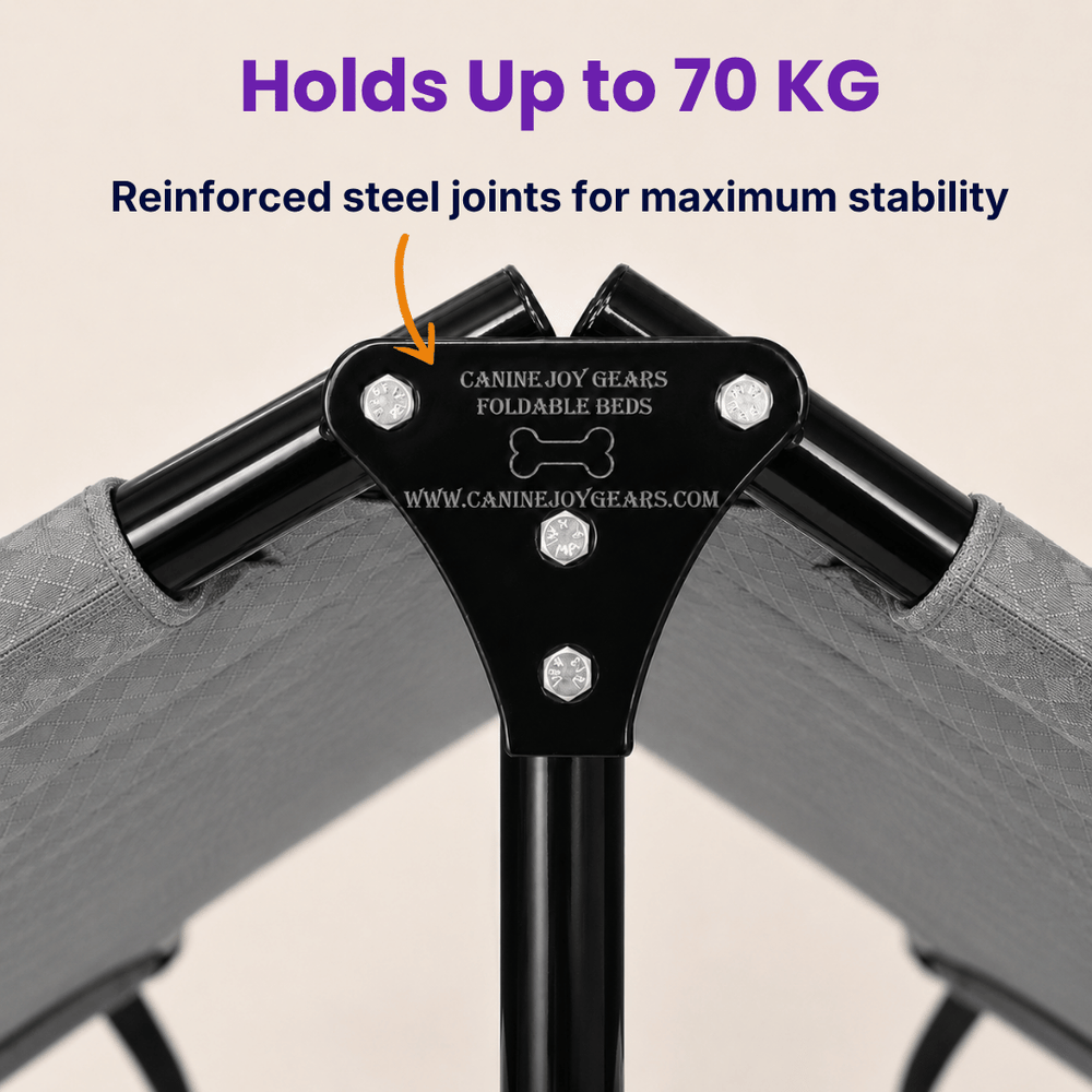 Heavy-Duty Elevated Dog Cot | Reinforced Metal Frame | Waterproof & Tear-Resistant 1000D Oxford Fabric | Foldable, No Assembly | 48&quot  30&quot with 9&quot Height | Supports 75 kg (165 lbs)