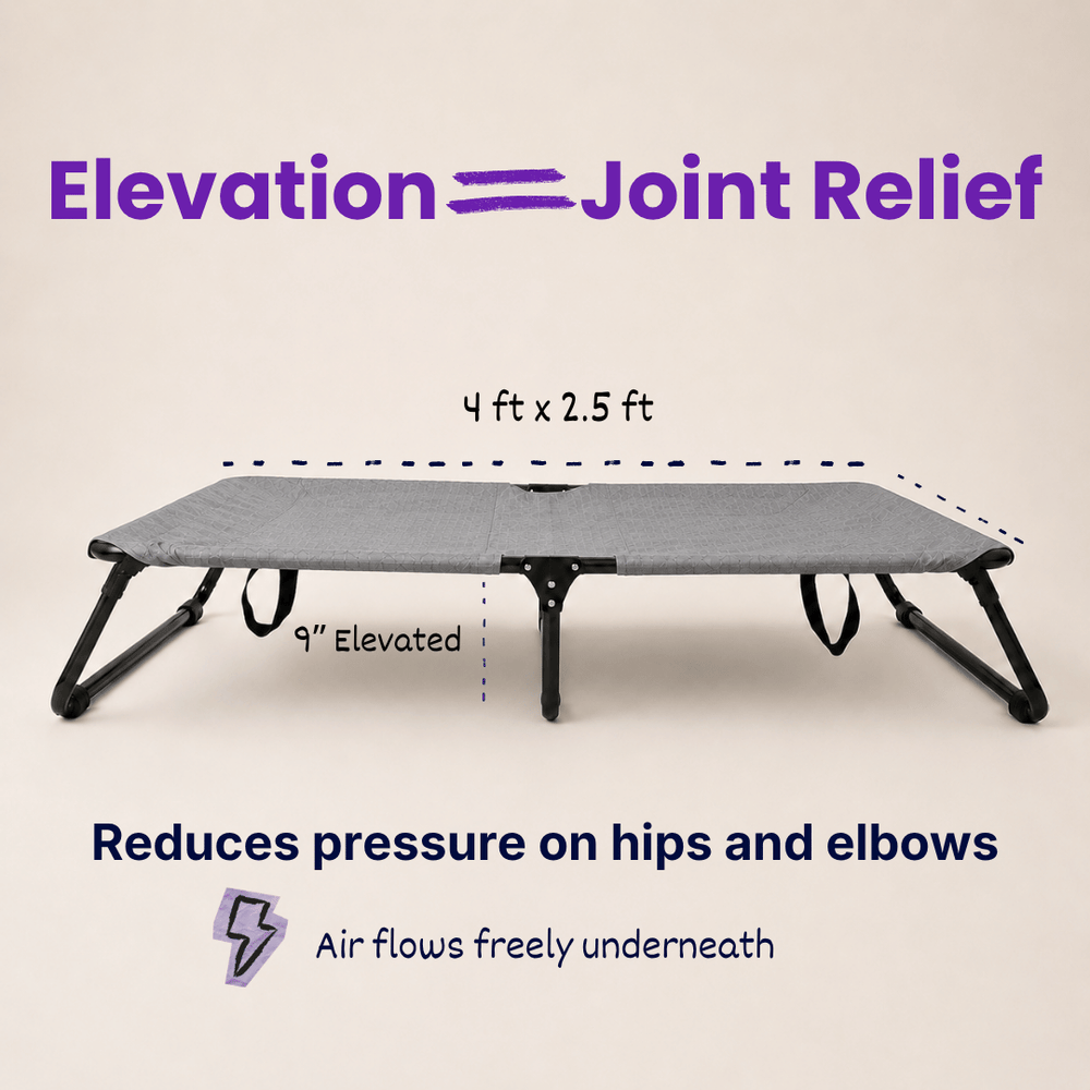 Heavy-Duty Elevated Dog Cot | Reinforced Metal Frame | Waterproof & Tear-Resistant 1000D Oxford Fabric | Foldable, No Assembly | 48&quot  30&quot with 9&quot Height | Supports 75 kg (165 lbs)