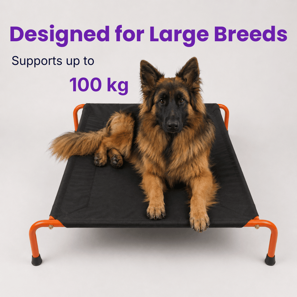 Elevated Dog Bed for Large & Heavy Dogs | Supports up to 100 kg | 45 X 26 X 9 Inches | Indoor & Outdoor Use | Easy Assembly & Travel Friendly