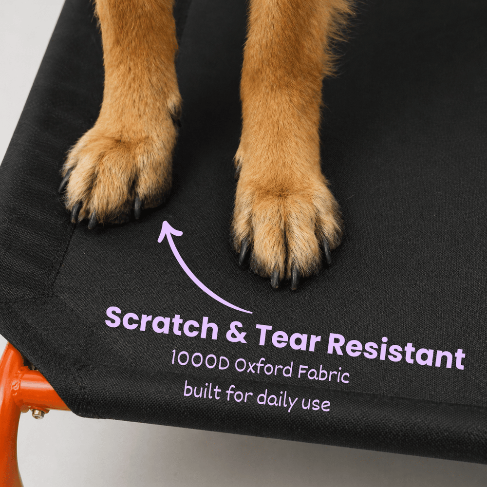Elevated Dog Bed for Large & Heavy Dogs | Supports up to 100 kg | 45 X 26 X 9 Inches | Indoor & Outdoor Use | Easy Assembly & Travel Friendly