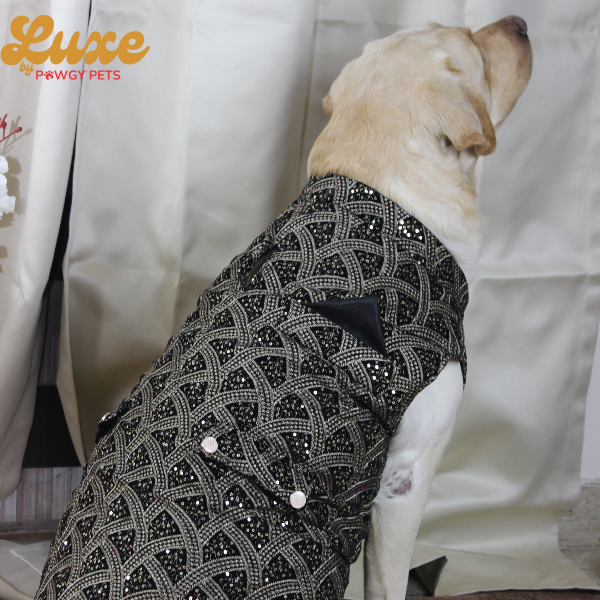 Black Embroidered Velvet Sherwani | Luxe Collection | Pawgy Pets