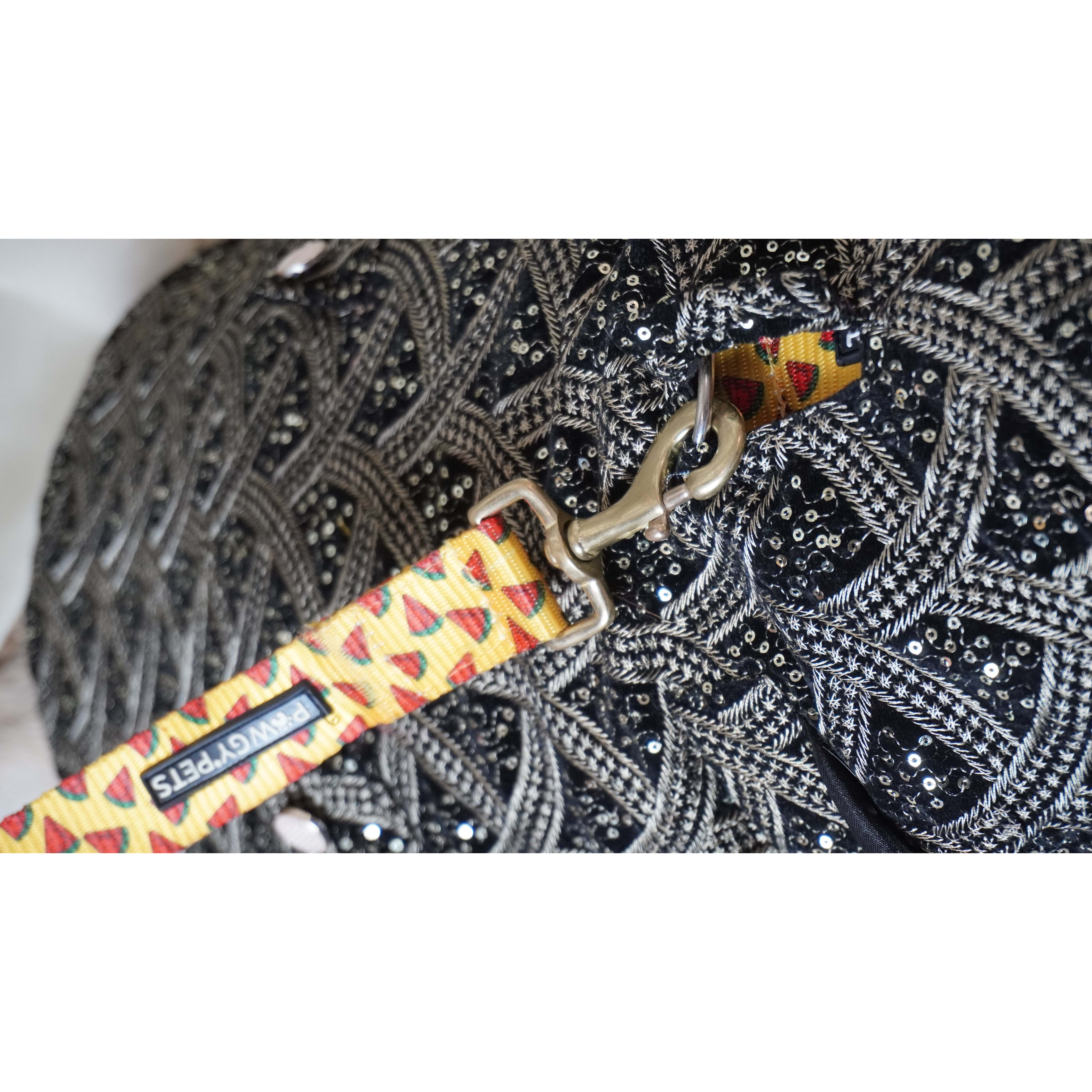 Black Embroidered Velvet Sherwani | Luxe Collection | Pawgy Pets