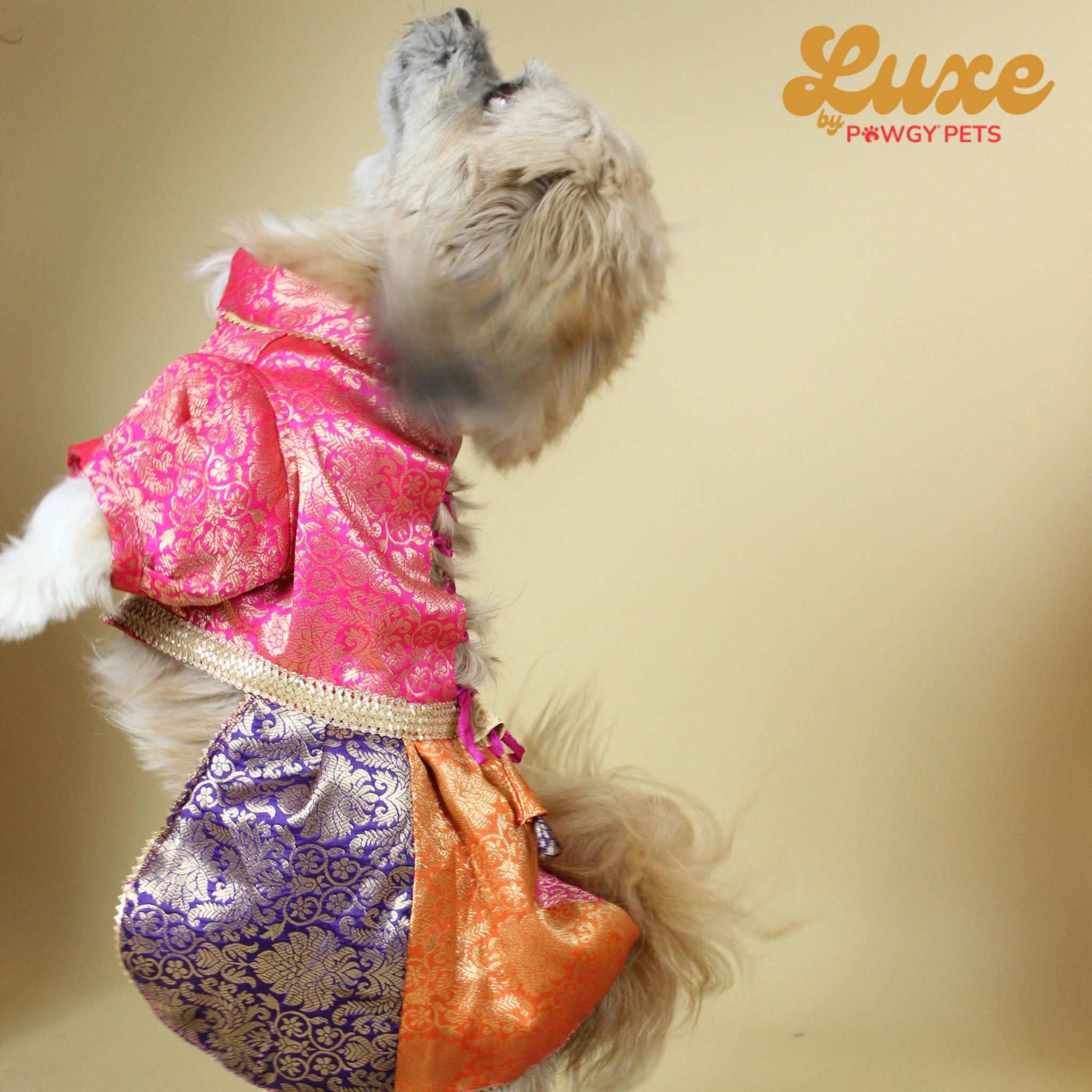 Colour Block Brocade Lehenga Dress | Luxe Collection | Pawgy Pets