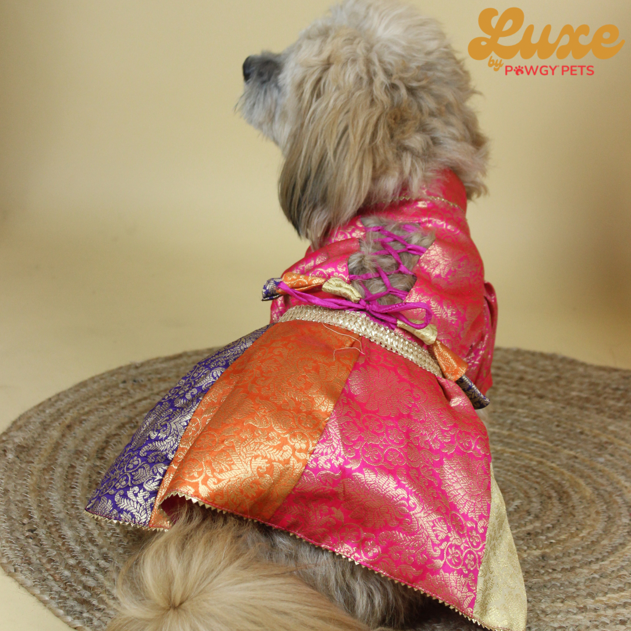 Colour Block Brocade Lehenga Dress | Luxe Collection | Pawgy Pets