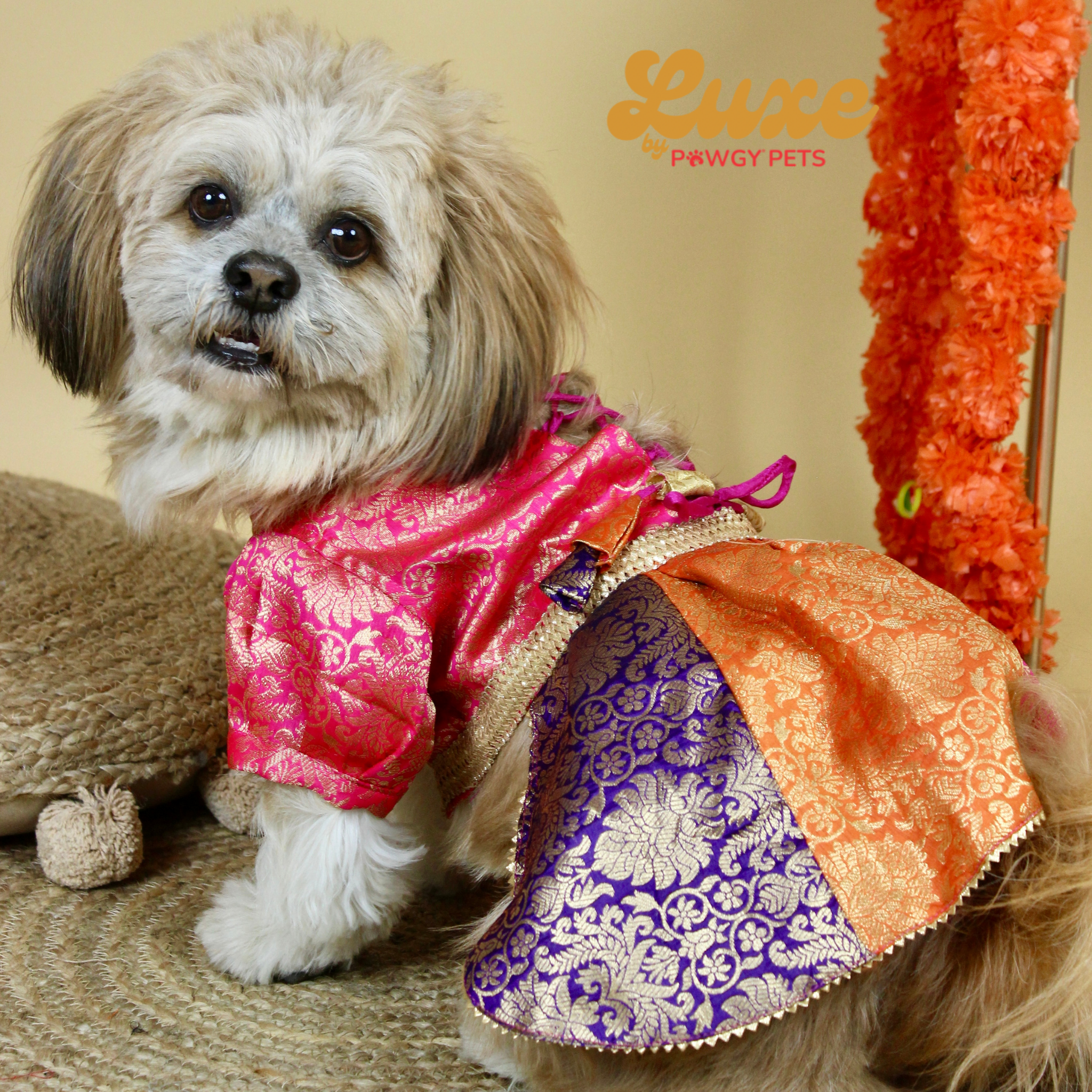Colour Block Brocade Lehenga Dress | Luxe Collection | Pawgy Pets